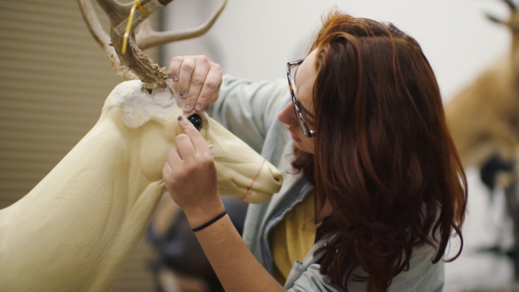 The Artistry of Taxidermy